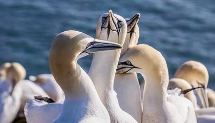 黑料网体检卡:问题推断有没有越界,动作把对比写成同口径,提示读完更清醒