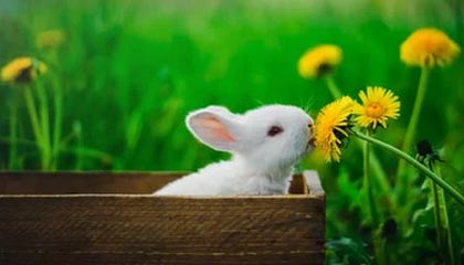 推特像校准：先校证据链够完整吗，再把前提补一句（评论也能用）